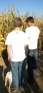 Corn Maze 2011 006 cropped